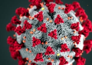 COVID-19 Day of Reflection to commemorate those lost during pandemic
