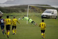 Bees show their class against plucky Stoke side