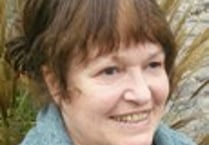 Councillor rapped over emailed insults