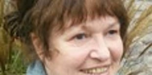 Councillor rapped over emailed insults