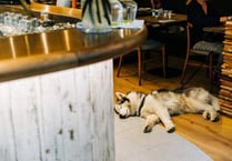 Health and safety gone mad – or common sense?
