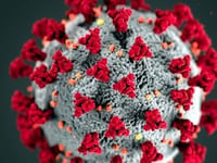 Record number of weekly deaths across region