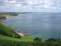 First seaweed farm in England is planned for the South Hams