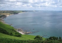 First seaweed farm in England is planned for the South Hams