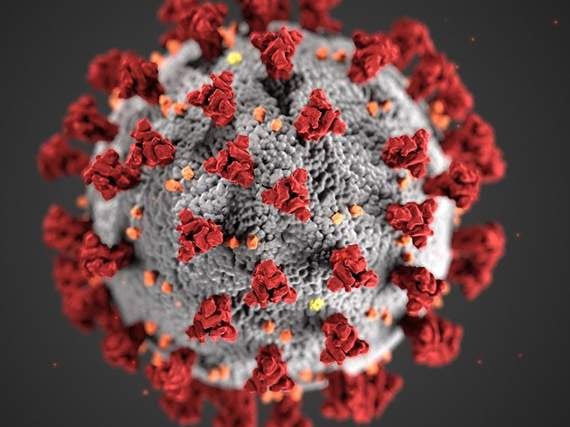 Coronavirus: Schools in South Hams enforce partial closure