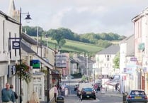 Ivybridge in Bloom: Town eyes 2020 gardening championship