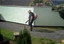Leaf-blowing work halted over virus fears