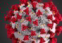 Virus figures show good news for the South Hams and Devon as a whole