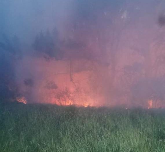 Fire crews continue to battle large gorse blaze on coast