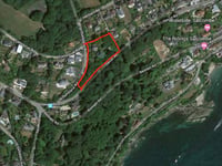 SHDC cracks down on tree vandals