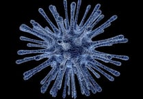 South Hams keeping clear of infection