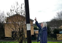 Residents complain about "ugly" poles