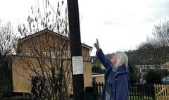 Residents complain about "ugly" poles
