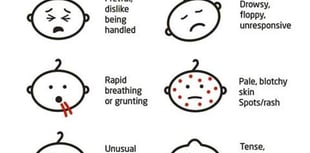 Students urged to protect themselves from deadly meningitis 