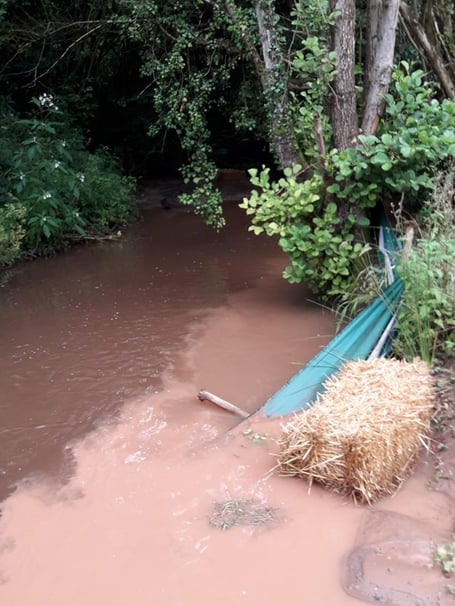 River pollution