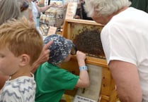 Popular agricultural show returns after covid break