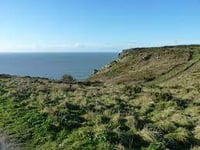A chance to visit a Bolberry dig