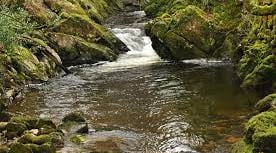 River Erme workshop