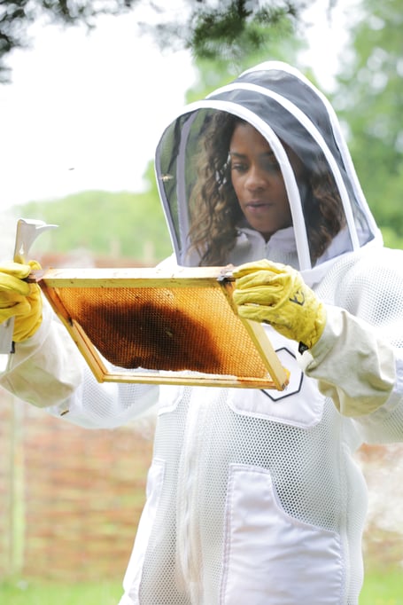 Bee Keeping