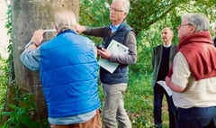 Archdeacon of Totnes meets South Hams tree wardens