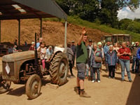 Open Farm Day fun for families