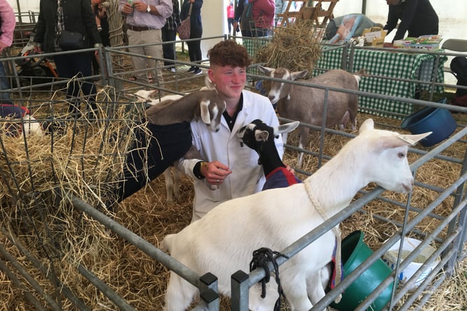 Sam Owen  with his goats