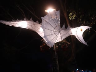 Floral Dances, Glove Hanging,  and Samba delight Fair goers
