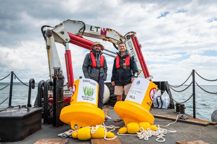 Seagrass protection mission