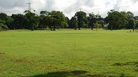 Free family Wildlife Day at Filham Park in Ivybridge