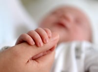 Fertility rate rises in Devon