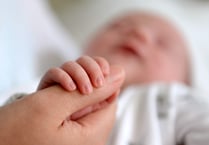Fertility rate rises in Devon