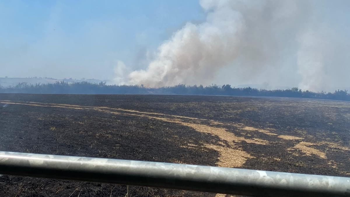 Fire rages across fields totnestoday.co.uk