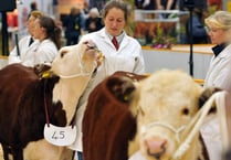 Agrifest returns to Westpoint