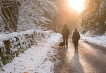 Enjoy a wintry wood walk this Christmas