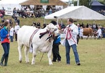 Big plans afoot for Devon County Show 2023