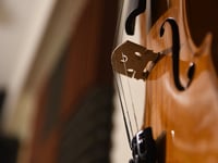 A winter treat with dartmouth orchestra 