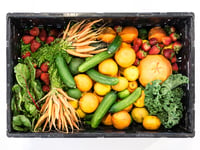 New waste service supports local foodbank