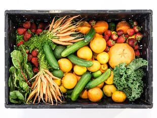 New waste service supports local foodbank