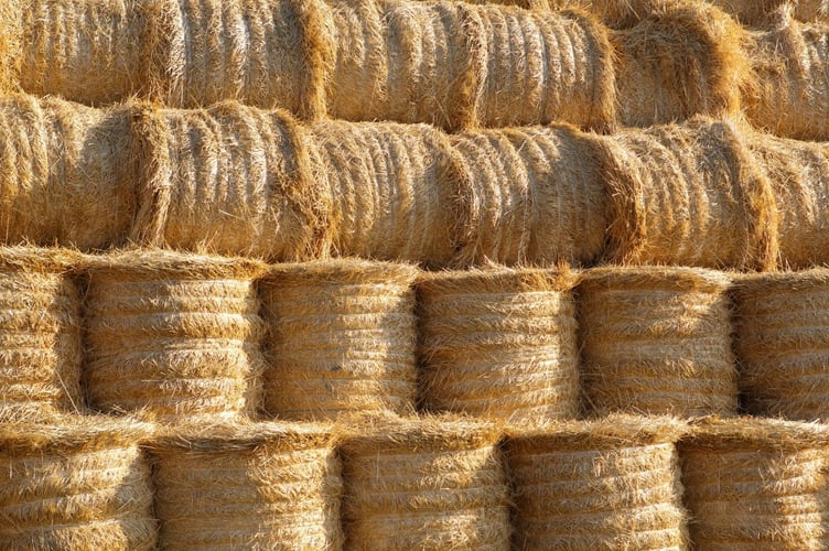 Hay bales