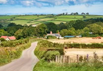 Devon housebuyers more likely to use local estate agents