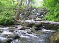 Local waterfall named as one of the most beautiful in the country