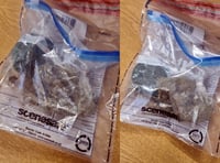 Suspended sentence for drug dealer