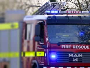 300 sheep escape South Milton barn fire