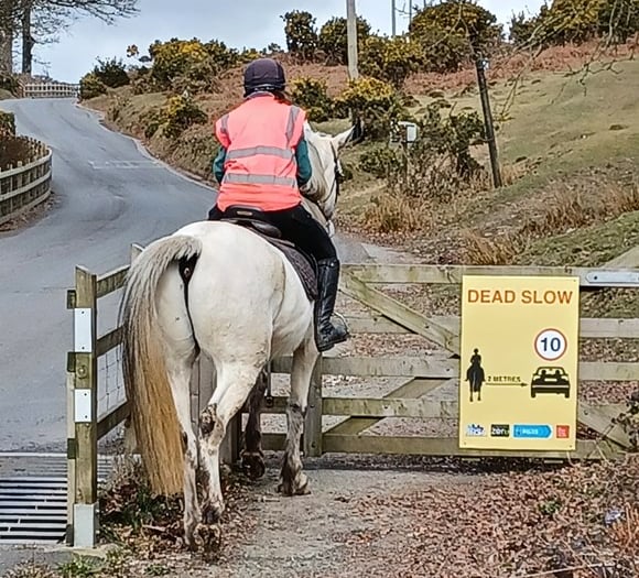 Drivers in Devon asked to 'rein' in their speed for horses 