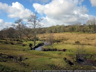 Dartmoor wild camping agreement ‘unsustainable’ claim