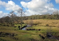 Dartmoor wild camping agreement ‘unsustainable’ claim