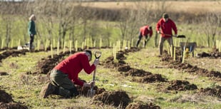 Devon County Council greenlights landmark community forest plan