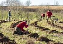 Devon launches ambitious community forest plan