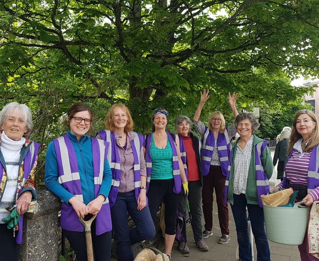 Gardening group's blooming lovely daffs bring cheer to town
