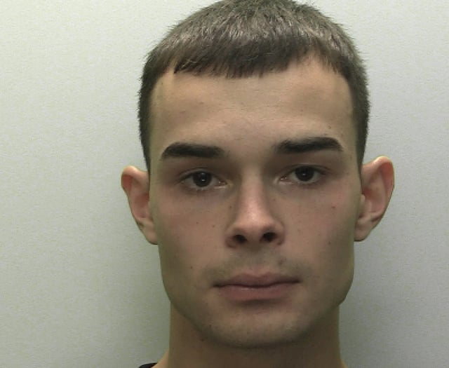 Violent boyfriend who threatened partner with iron and acid jailed